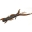 Vibroastes Lucky John Pro Series HOGY SHRIMP 2.2, 140163-085