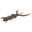 Vibroastes Lucky John Pro Series HOGY SHRIMP 2.2, 140163-PA03