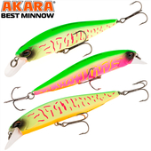 Vobleris AKARA «Best Minnow» 100 SP (100mm, 0.0-2.0m, 15gr), BM100SP-A207/161